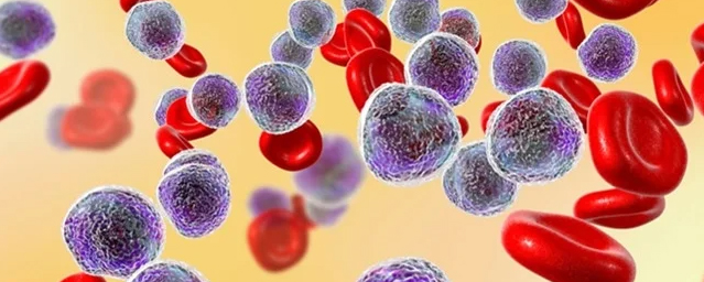 <br>Researchers have discovered potential new drugs that work in concert with other drugs to deliver a deadly one-two punch to leukemia.....<a href='https://news.rice.edu/news/2022/researchers-discover-new-leukemia-killing-compounds' target='_blank'>More</a>